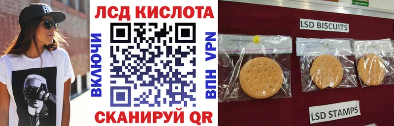 Марки N-bome 1500мкг  KRAKEN вход  Динская 