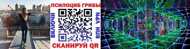 Псилоцибиновые грибы Psilocybe  купить   Динская 